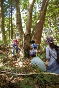 ゆったりのんびり 摩耶山子育て