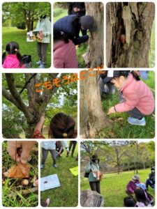 ネイチャーゲーム体験 @ 神戸市立森林植物園