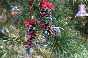 森のラッキータイム「木の実のツリーやクリスマスオーナメントを作ろう！」 @ 神戸市立森林植物園