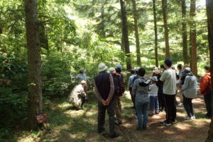 ネイチャーゲーム体験　1日特別プログラム @ 神戸市立森林植物園
