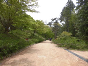 ウエルネスウォーキング　 @ 神戸市立森林植物園