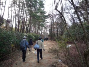 ウェルネスウォーキング「小さい春をみつけに出かけませんか？」 @ 神戸市立森林植物園