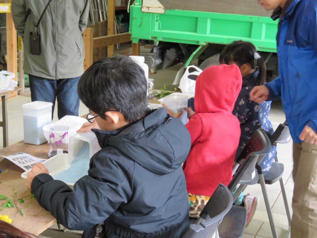いきもの好き集まれ！！「植物についての学習～立体標本作り～」 @ 神戸市立森林植物園