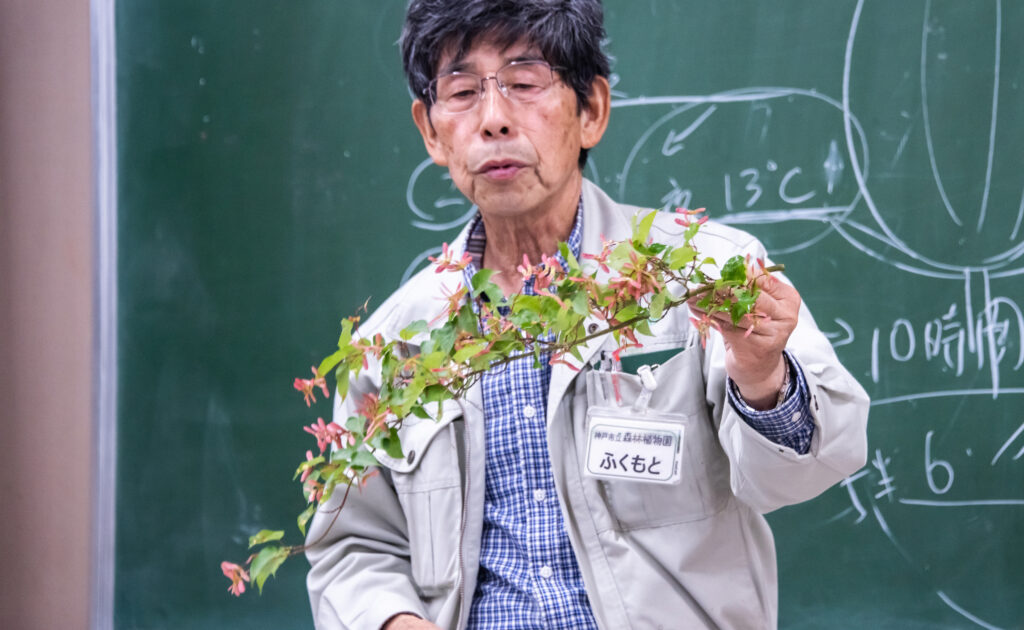 自然観察講座　第2回「植物なぜなぜ入門」春編～花のふしぎ発見～ @ 神戸市立森林植物園