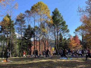 森林浴ヨガ ～紅葉の森deヨガ～ @ 神戸市立森林植物園