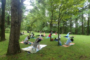 森林浴ヨガ～夏の木陰deヨガ～ @ 神戸市立森林植物園