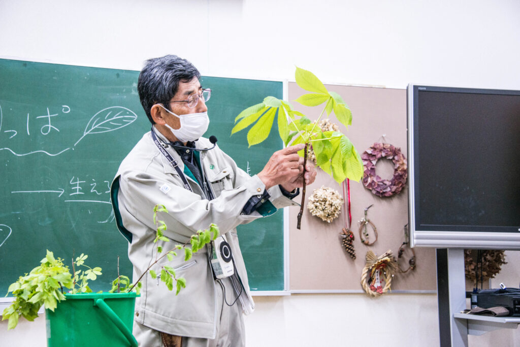 自然観察講座　第1回「新緑を訪ねて」～葉っぱのいろいろ～ @ 神戸市立森林植物園