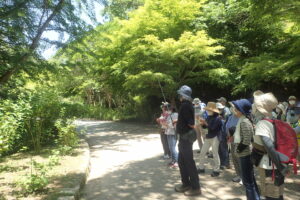 薬樹観察会　森の薬箱～初夏編～ @ 神戸市立森林植物園
