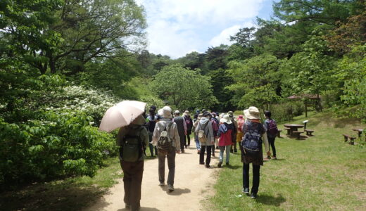薬樹観察会　森の薬箱～初夏編～ @ 神戸市立森林植物園