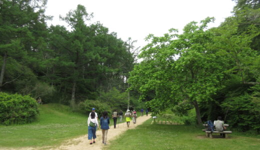 ウェルネスウォーキング「新緑の中であなたは何を見つけますか」 @ 神戸市立森林植物園