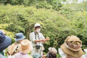 自然観察講座　第６回「秋草と萩めぐり」～ 虫の音に誘われて花めぐり ～ @ 神戸市立森林植物園