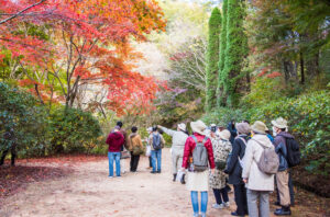 自然観察講座　第8回「木の実と紅葉めぐり」～ 秋模様を愉しもう ～ @ 神戸市立森林植物園