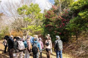 自然観察講座　第9回「縁起植物を学ぼう」～ 落ち葉を踏みしめながら ～ @ 神戸市立森林植物園