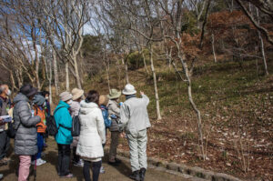 自然観察講座　第10回「冬のツリーウォッチング」～ 樹皮に触れてみよう ～ @ 神戸市立森林植物園