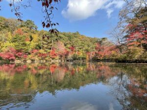 世界の森のもみじ巡り「森林もみじ散策」 @ 神戸市立森林植物園