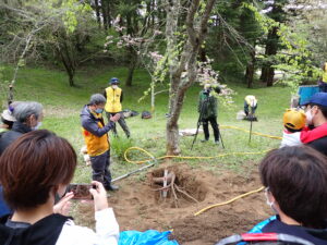 樹木医イベント　木のお医者さんが伝える「木の生き方」 @ 神戸市立森林植物園