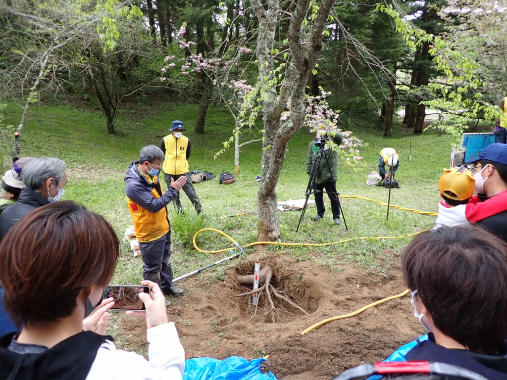 樹木医イベント　木のお医者さんと一緒に「木の生き方」を学ぼう @ 神戸市立森林植物園