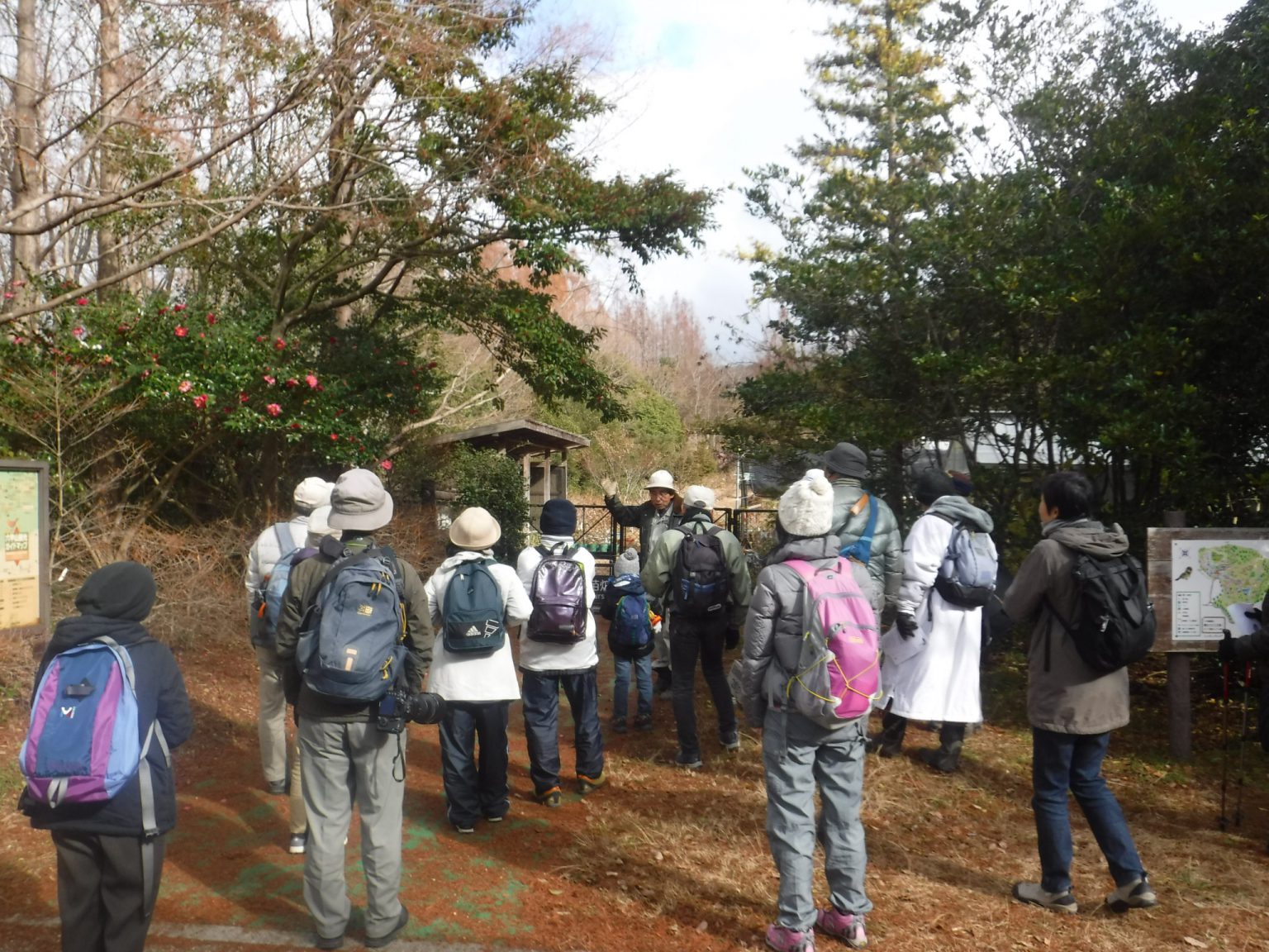 自然観察講座　第9回「縁起植物を学ぼう」～落ち葉を踏みしめながら～ @ 神戸市立森林植物園