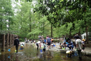 カエルの学校～モリアオガエルに出会おう～ @ 神戸市立森林植物園