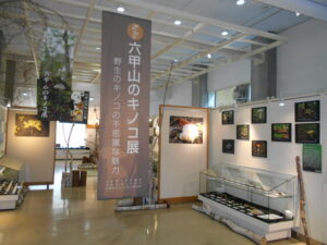 第7回六甲山のキノコ展 in 森林植物園　～御影高生による展示解説～ @ 神戸市立森林植物園