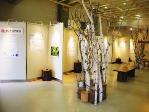 企画展「色のいろいろ」植物と色の関わり　～自然の色　日本の色　その2～ @ 神戸市立森林植物園（森林展示館2階）