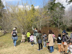 春が来た！子どものための森林ガイドツアー @ 神戸市立森林植物園