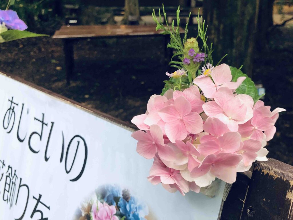 あじさいの花飾りを作ろう @ 神戸市立森林植物園