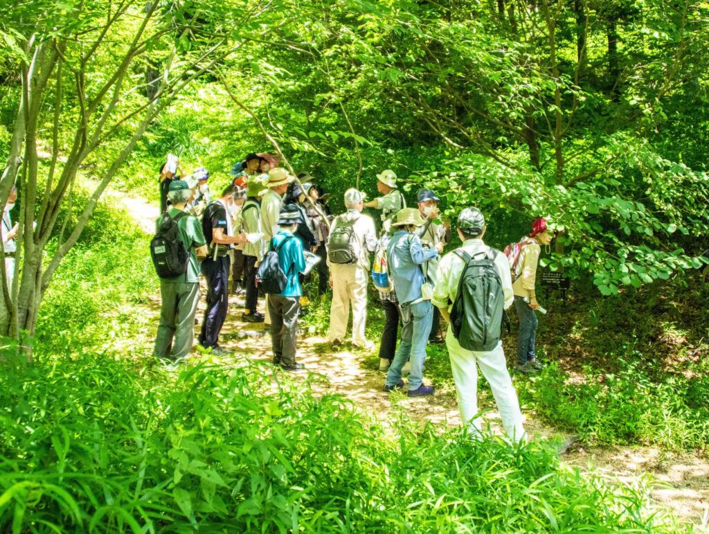 自然観察講座 @ 神戸市立森林植物園