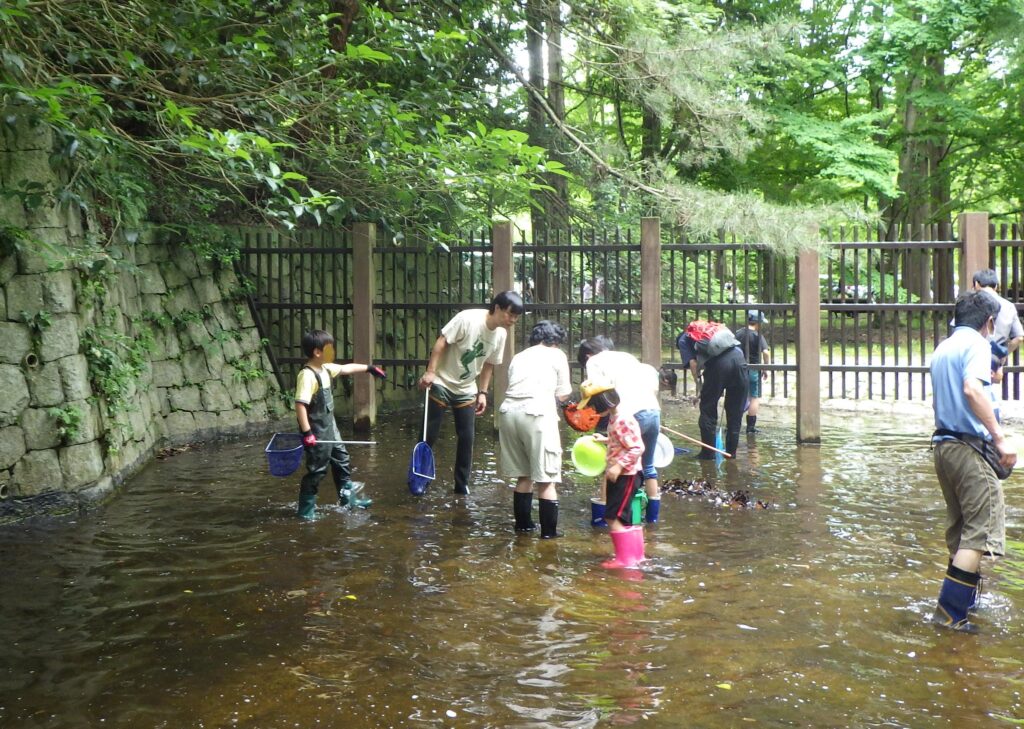 カエルの学校 @ 神戸市立森林植物園